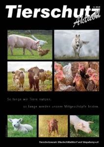 Tierschutz Aktuell November 2019