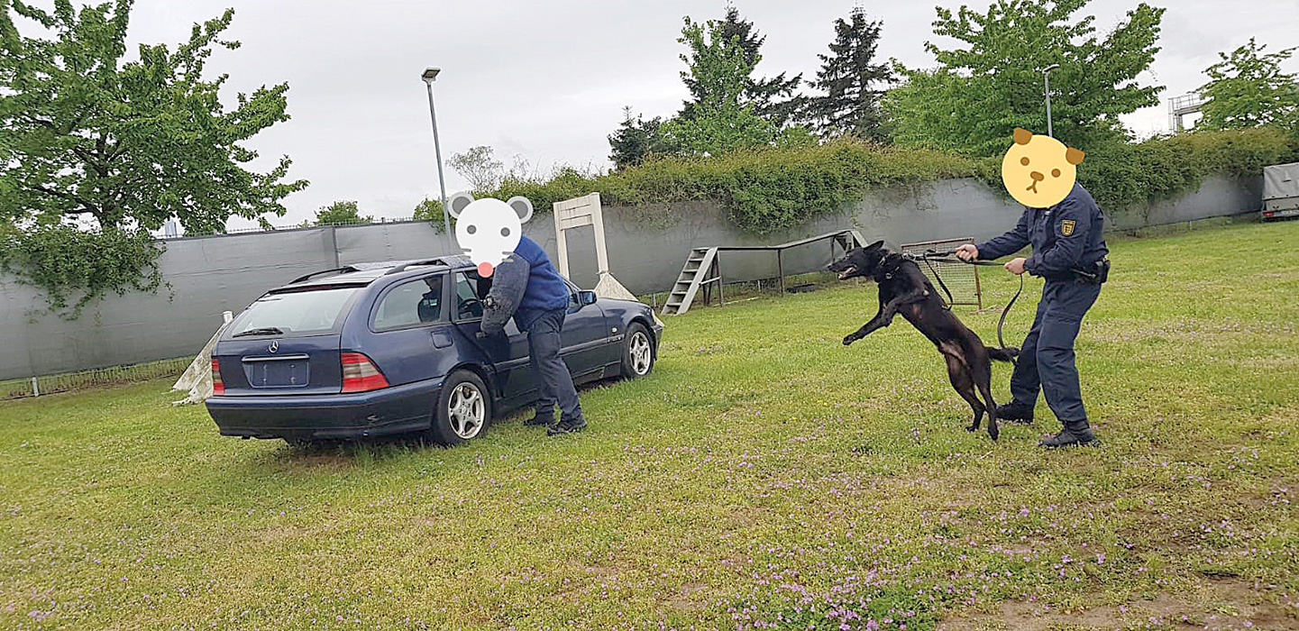 tierschutzjugend 2019-07