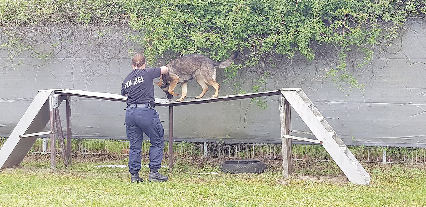 tierschutzjugend 2019-10