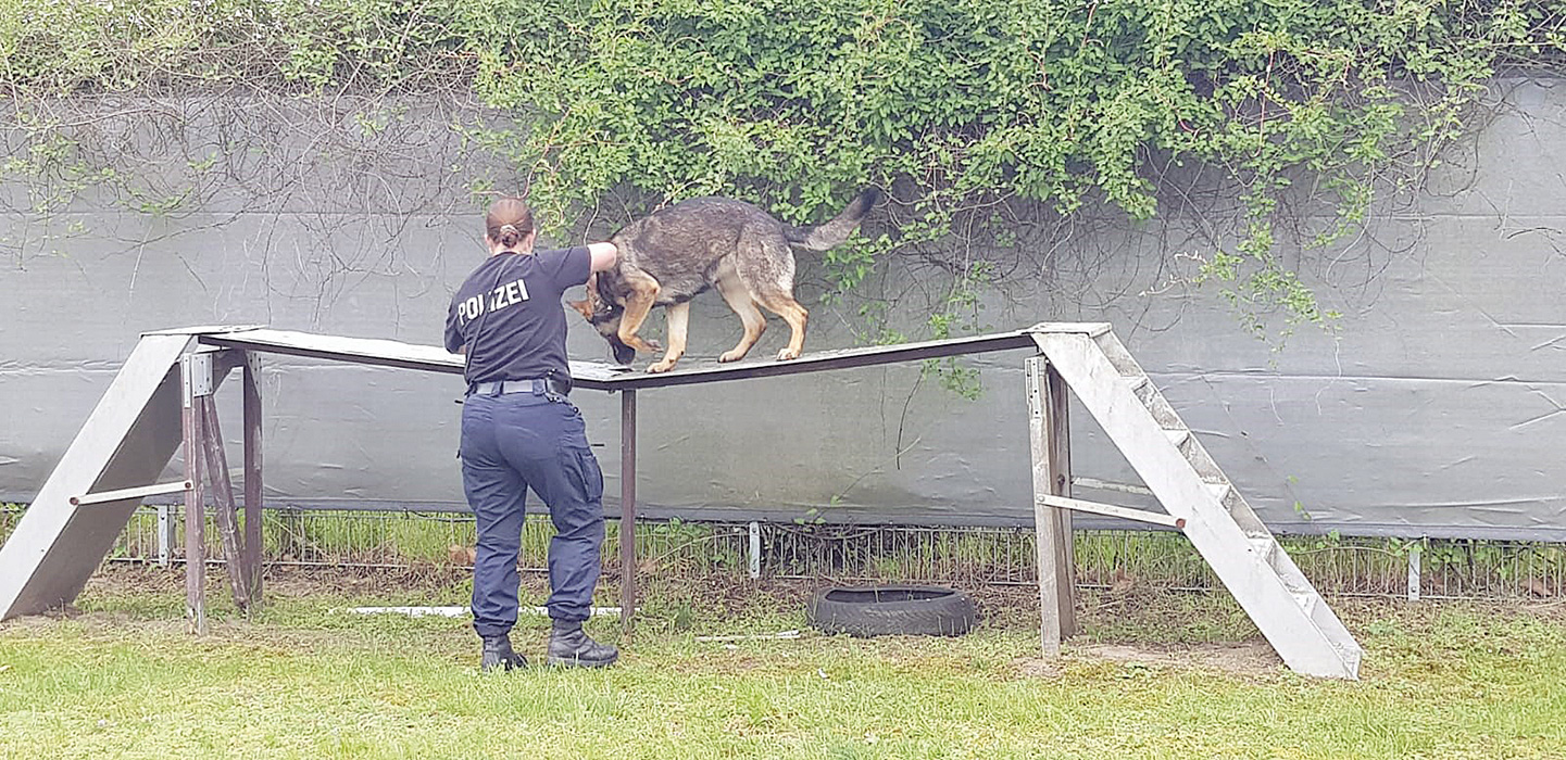 tierschutzjugend 2019-10