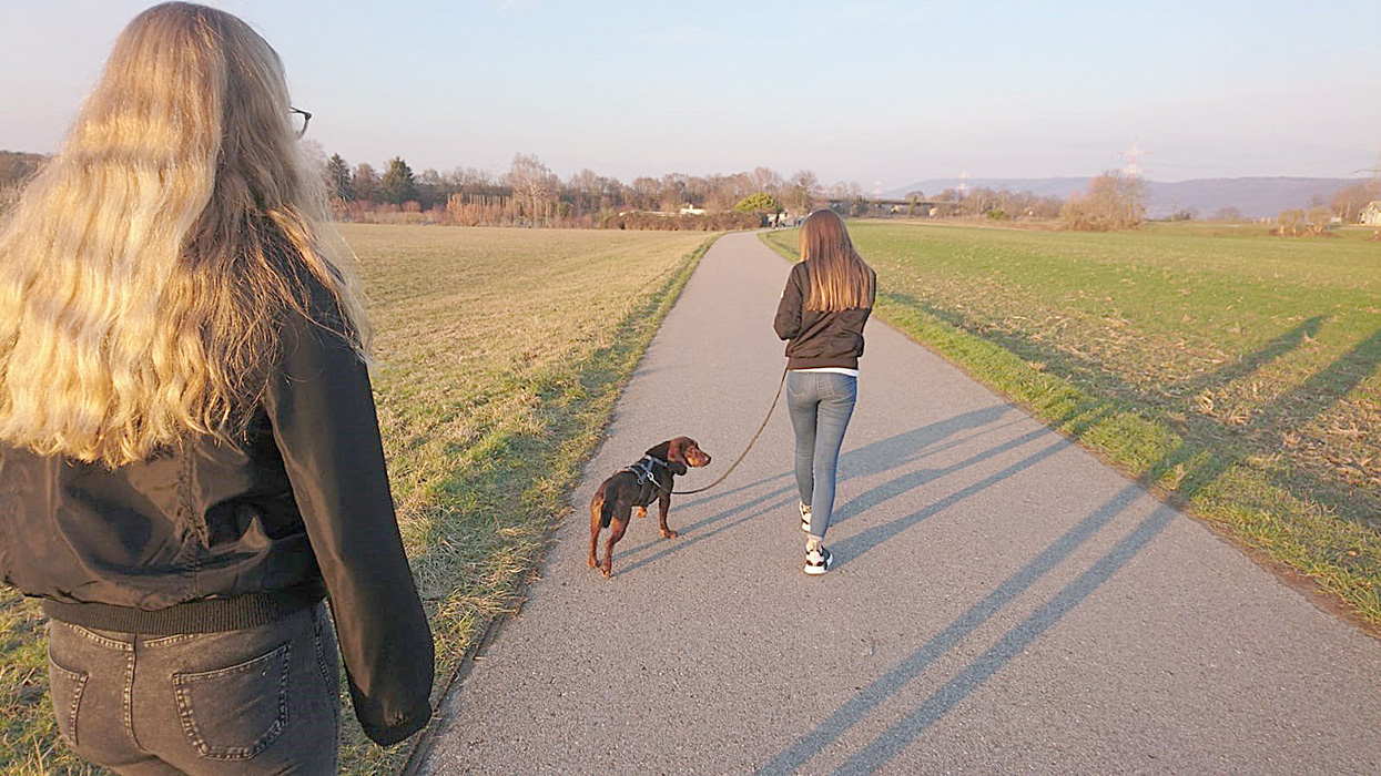 tierschutzjugend 2019-11