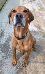 Zeus_2022-06