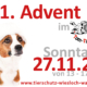 Advent im Tierheim 2022-11-27
