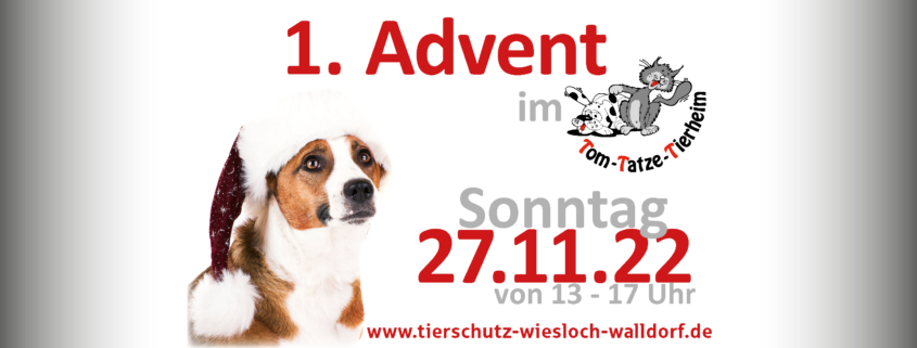 Advent im Tierheim 2022-11-27