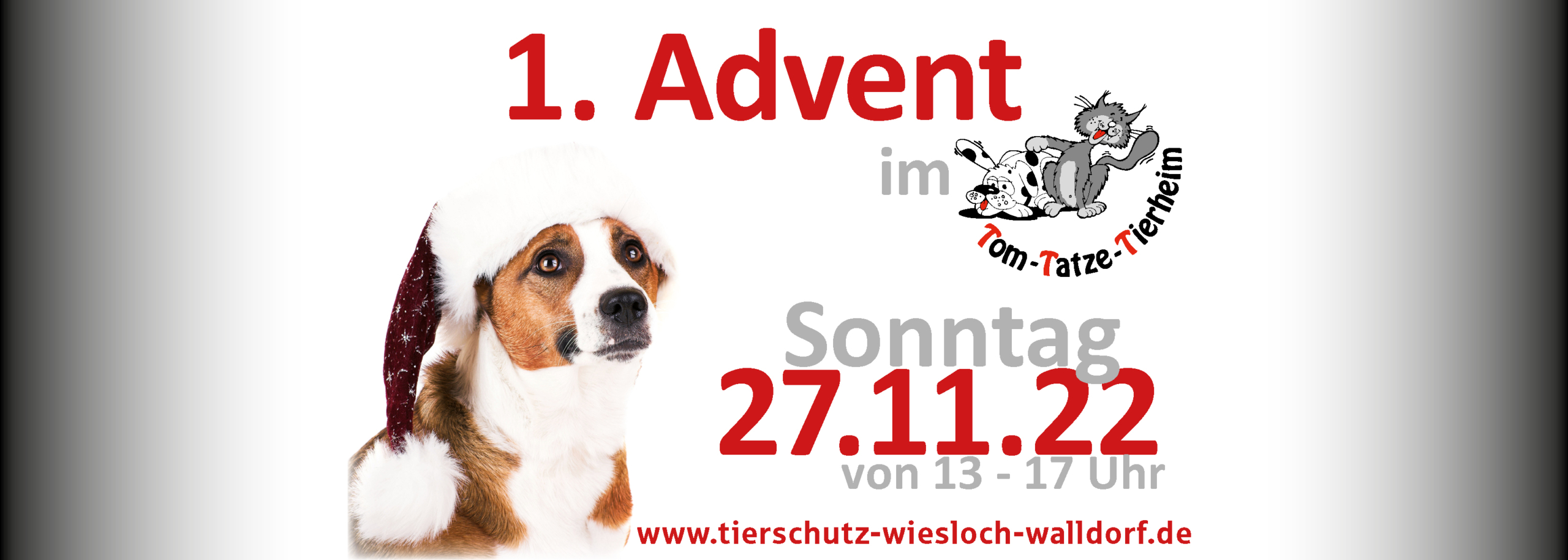 Advent im Tierheim 2022-11-27