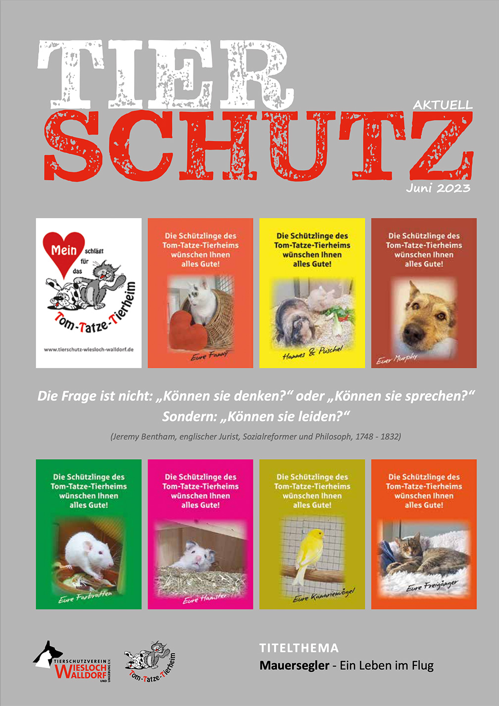 Tierschutz Aktuell Juni 2023“ width=