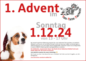 Advent im Tom-Tatze-Tierheim 2024