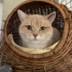 Babette 2025-03-27