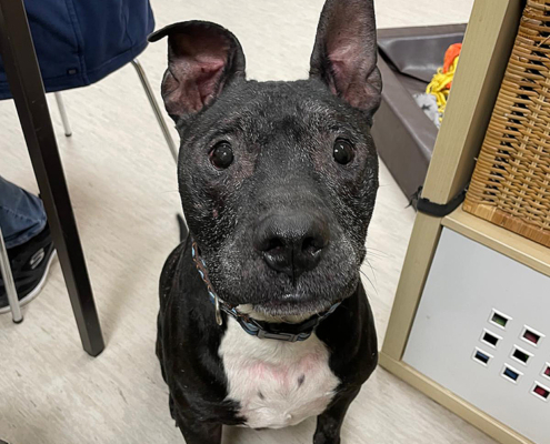 Rocky 2025-03-27