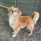 Bella 2025-05-22 1