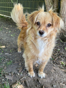 Bella 2025-05-22 2