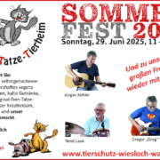 TSV WiWa Sommerfest 2025