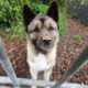 Mikka 2025-08-12 1