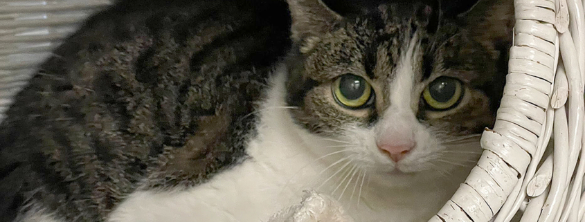 Minka 2025-09-23