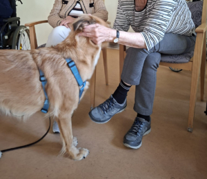 Nana 2025-09-30 4
