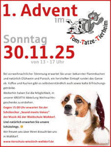 Anzeige SM Advent 2025