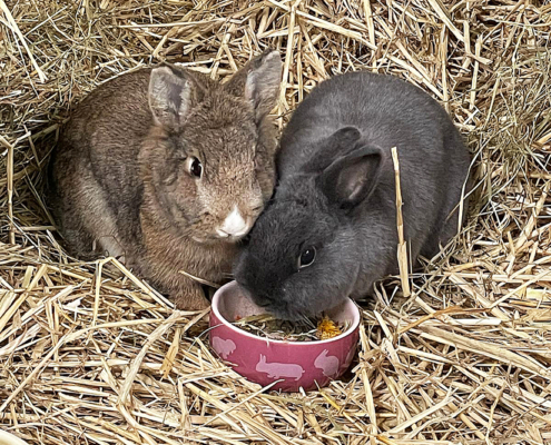 Kim Haggy 2025-11-06