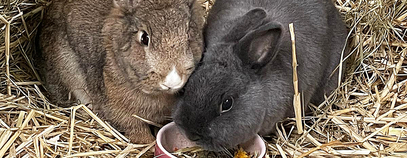 Kim Haggy 2025-11-06