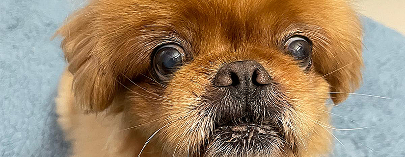 Vincent 2025-11-06 1