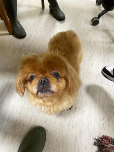 Vincent 2025-11-06 2