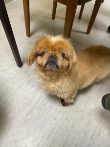 Vincent 2025-11-06 3