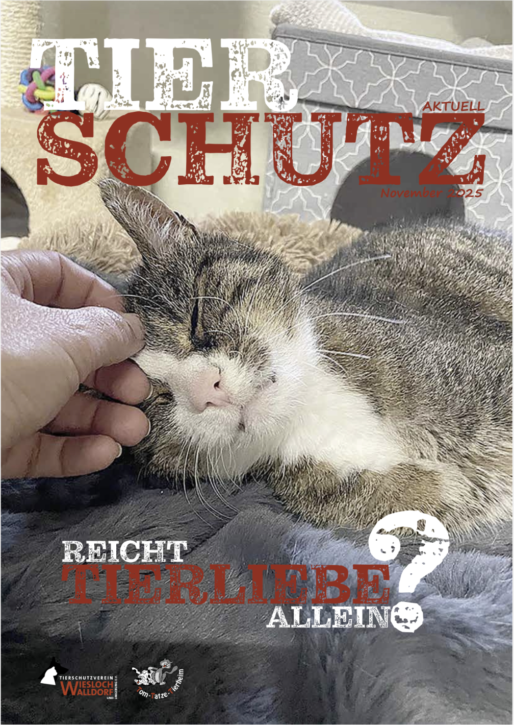 Tierschutz Aktuell November 2025“ width=