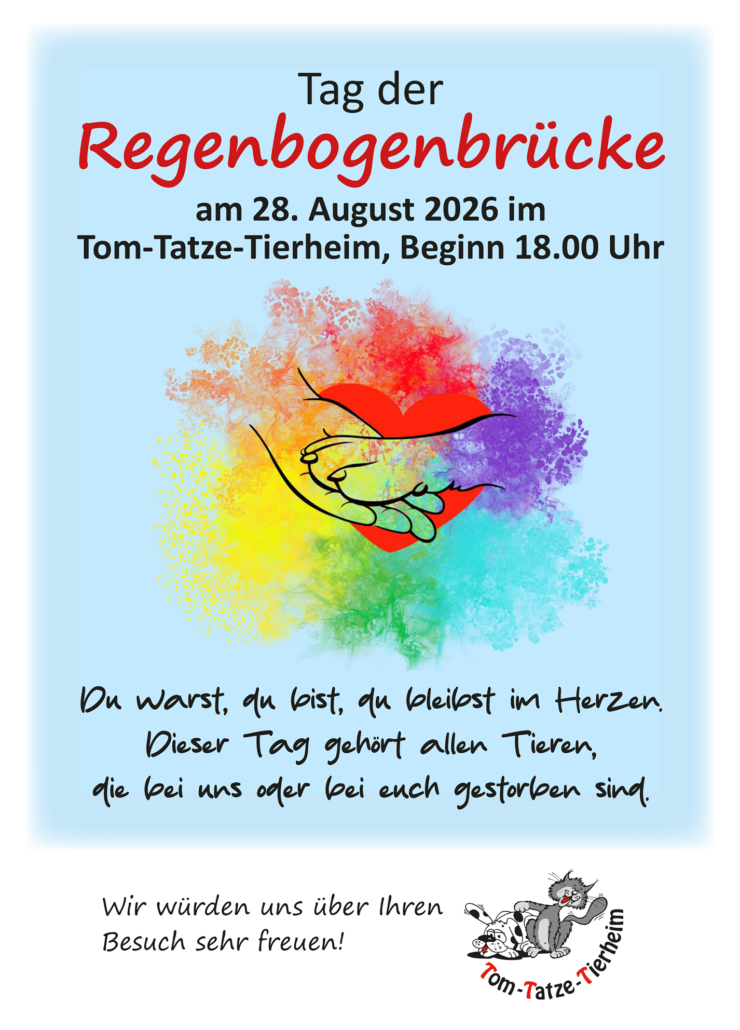 Regenbogenbruecke 2026 Regenbogenbruecke 2026