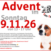 Tom-Tatze-Tierheim-Anzeige Advent 2026