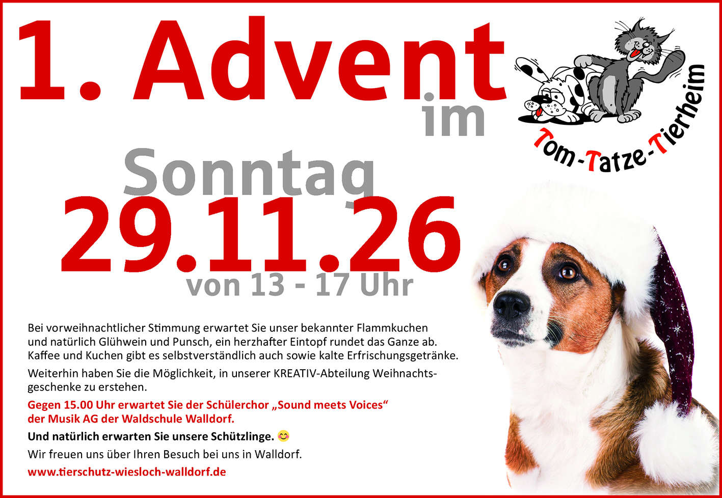 Tom-Tatze-Tierheim-Anzeige Advent 2026